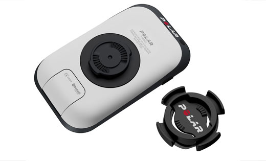 Polar-V650