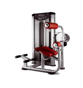BH Rückenstreckmaschine L510 Krafttrainingsgerät