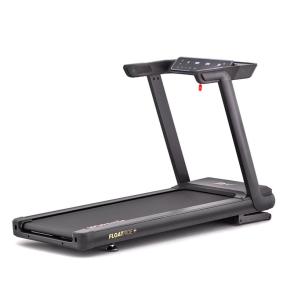 Reebok Laufband FR30z Floatride