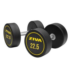 Mancuernas redondas goma Ziva Performance (par) (Peso: 22.5kg)