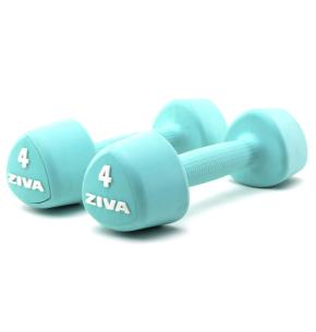 Mancuerna Ziva Chic Studio Turquesa (par) (Peso: 4kg)