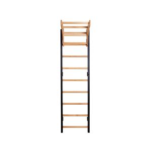 BenchK Sprossenwand Serie 7 711