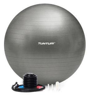 Tunturi Gymball 90 cm Silber Anti-Platzer