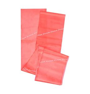 Theraband Rotes elastisches Band (Beutel+Handbuch) 2.5 m (Widerstand: Level 2)