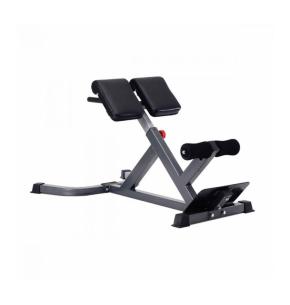 Titanium Strength Hyper extension Bank BH45 45 grad