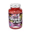 Amix Tribu ZMA - 90 Tabletten Amix Tribu ZMA - 90 Tabletten