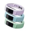 Garmin vívofit 2 Wechsel-Armbänder - Groß Pastell (Minze/Himmelblau/Flieder) Garmin vívofit 2 Wechsel-Armbänder - Groß Pastell (Minze/Himmelblau/Flieder)